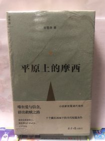 平原上的摩西（全新典藏版）