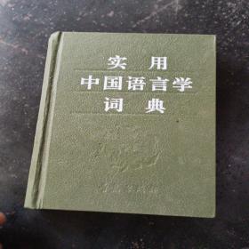 实用中国语言学词典