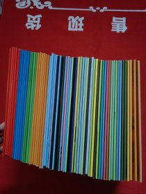 第一次发现丛书 透视眼系列40本+手电筒系列20本 59本合售