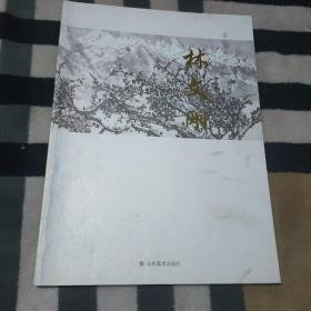 当代山东美术名家. 林文刚