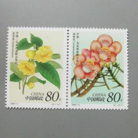 邮票2002--3珍惜稀花卉