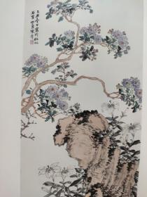 画页（散页印刷品）----书画——问吉，草虫花卉【唐云】。芭蕉翠鸟【江寒汀】。花卉【陈摩】。蕉窗寒色【陆恢】。秋艳【沈子丞】1375