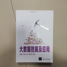 大数据系列丛书：大数据挖掘及应用