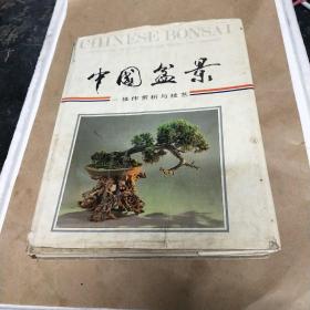 中国盆景一一佳作赏析与技艺