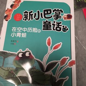 在空中历险的小青蛙(注音)新小巴掌童话丛书