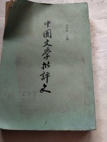 中国文学批评史（实物拍照