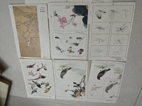 花鸟草虫画法入门 活页20页