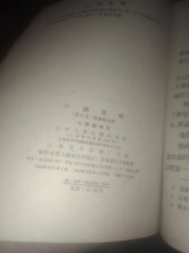 小钢苏和 大塑料袋