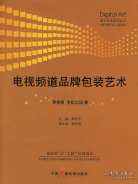 正版书电视频道品牌包装艺术数字艺术系列丛书