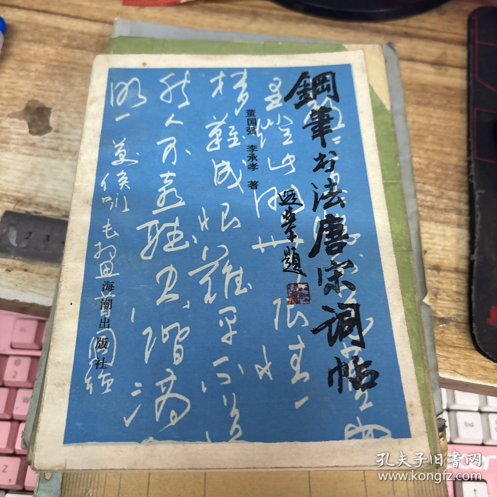 钢笔书法唐宋词帖