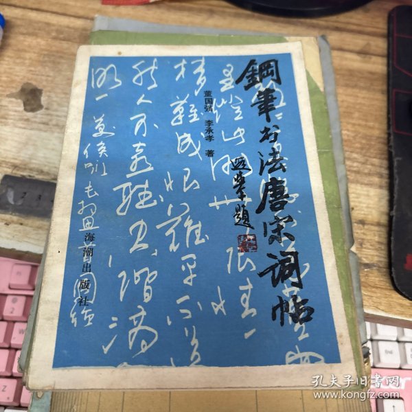 钢笔书法唐宋词帖