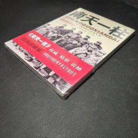中国现代军事文学丛书·国内革命战争：南天一柱