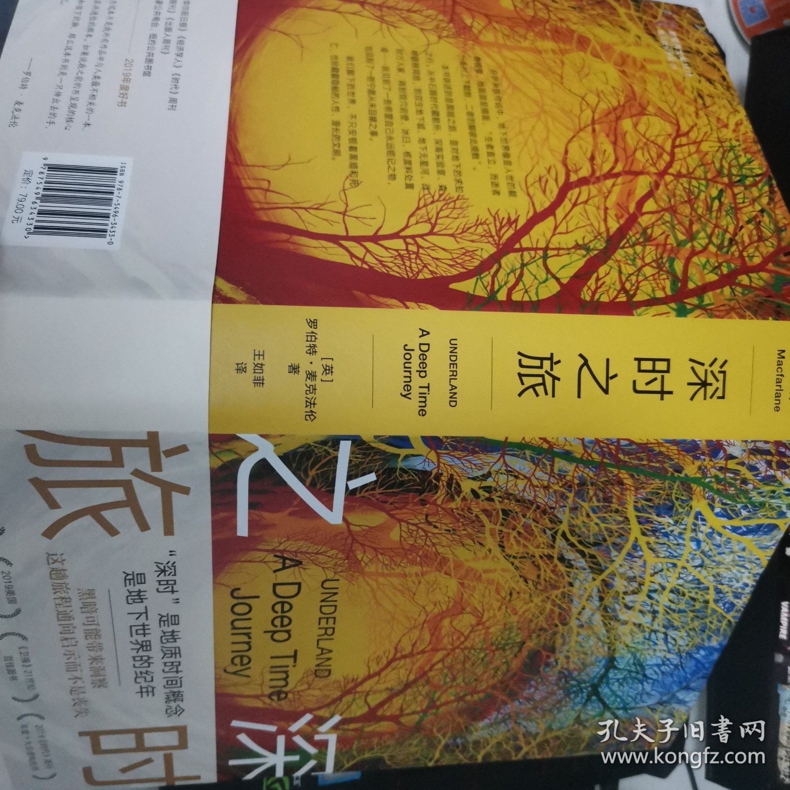 深时之旅（未来人类备忘录。反思明天，重启当下！剑桥学者、布克奖评委会主席高赞代表作）