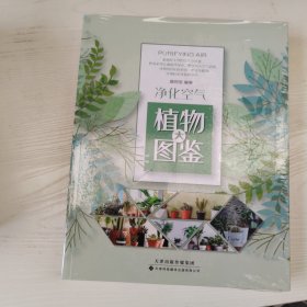 净化空气植物大图鉴