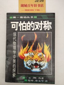 可怕的对称：现代物理学中美的探索