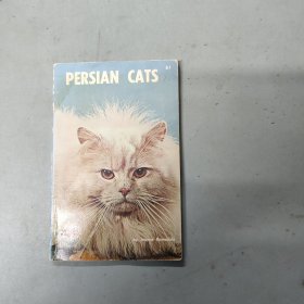 PERSIAN CATS波斯猫