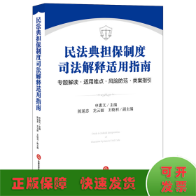 民法典担保制度司法解释适用指南：专题解读·适用难点·风险防范·类案指引