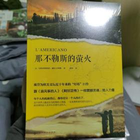 那不勒斯的萤火（被誉为欧美文坛近十年来的“灯塔”巨作，跟《追风筝的人》《阿甘正传》一样震撼灵魂、给人力量。）