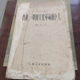 上海文艺丛书 鲁迅一中国文化革命的巨人