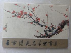 王雪涛花鸟草虫 画选（二） 明信片10枚一套