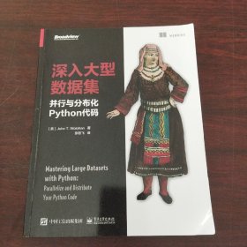 深入大型数据集：并行与分布化Python代码