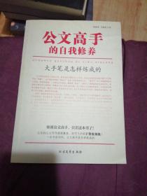 公文高手的自我修养：大手笔是怎样炼成的