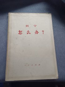 列宁 怎么办？