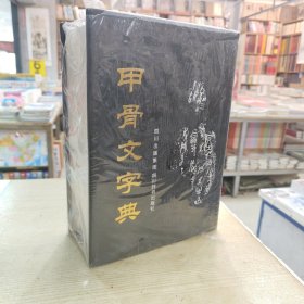 甲骨文字典(精)
