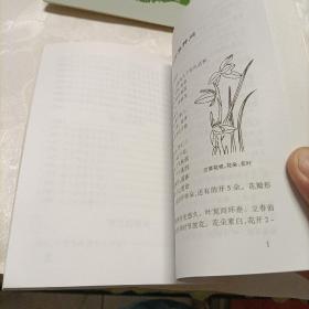 中国兰文化探源、云南名兰赏析、滇兰家养200问