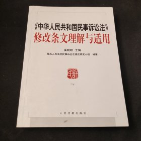 《中华人民共和国民事诉讼法》修改条文理解与适用