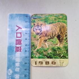 1980年月历卡片 虎