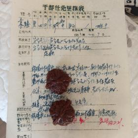 1963年 内蒙古武川县 干部任免呈报表  安字号公社巨字号小学教导主任