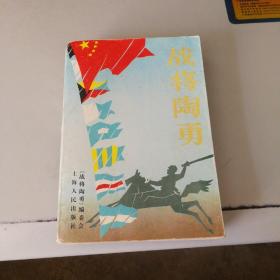 战将陶勇