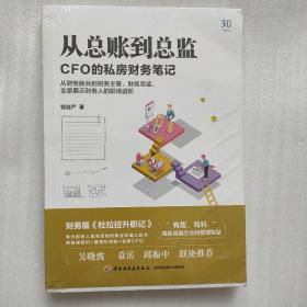 从总账到总监：CFO的私房财务笔记