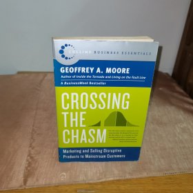 Crossing the Chasm：Marketing and Selling Disruptive Products to Mainstream Customers