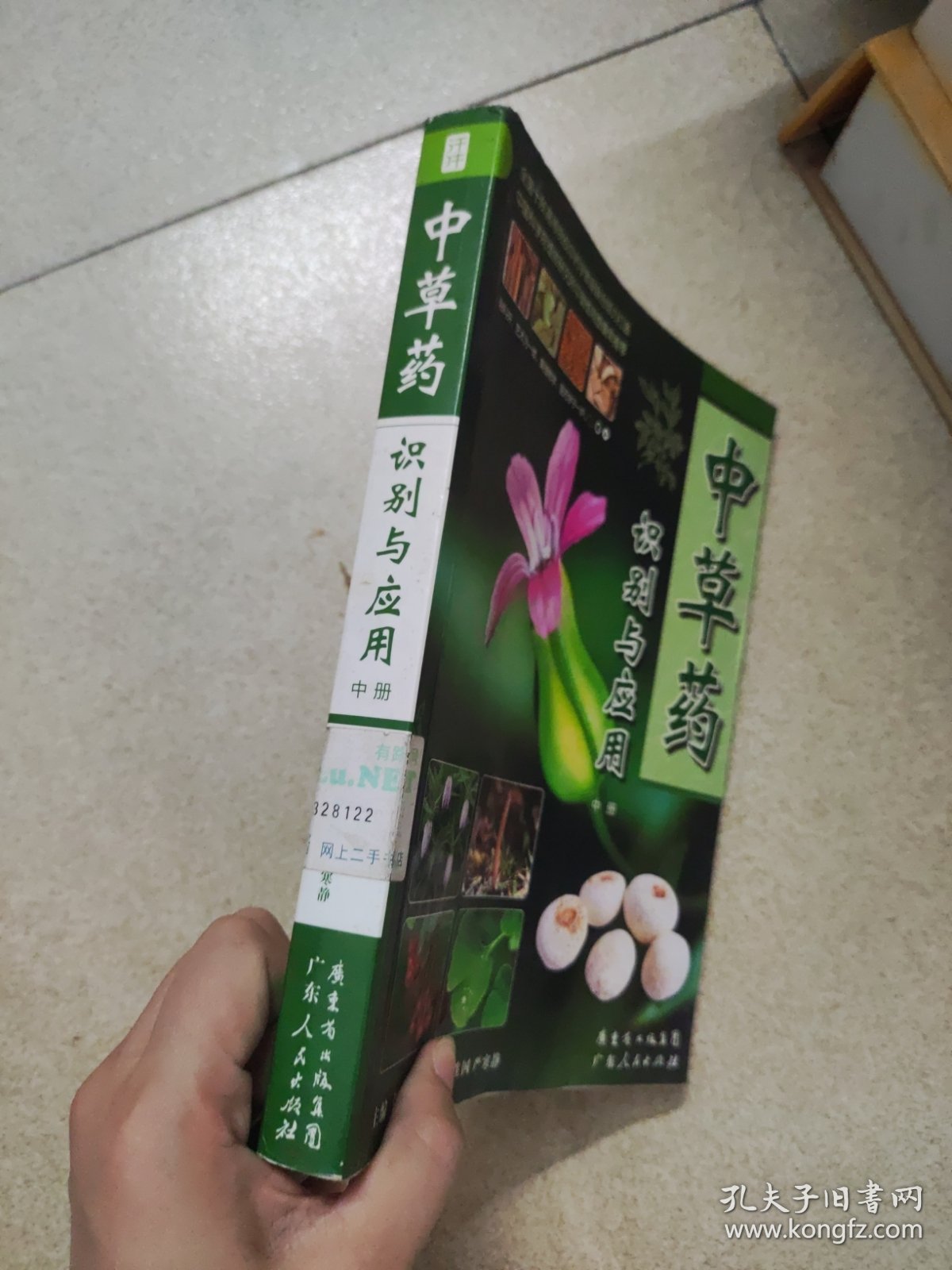 中草药识别与应用（中册）