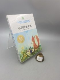 小茶匙老太太：全球儿童文学典藏书系