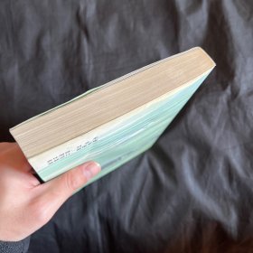 静静的艾敏河