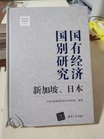 国有经济国别研究