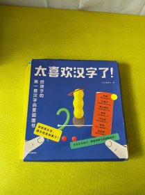 太喜欢汉字了！给孩子的第一套汉字启蒙图画书（套装共10册）