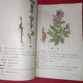 有毒的野生植物