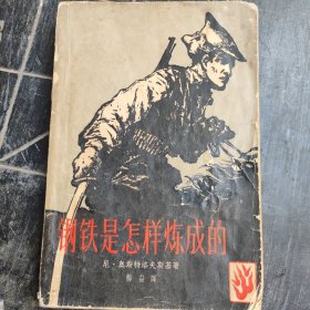 钢铁是怎样炼成的
