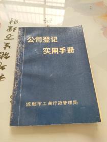 公司登记实用手册