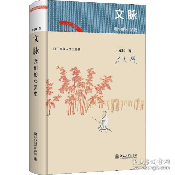 保正版！文脉 我们的心灵史9787301304617北京大学出版社王充闾