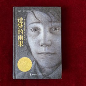 造梦的雨果 （精装 ）