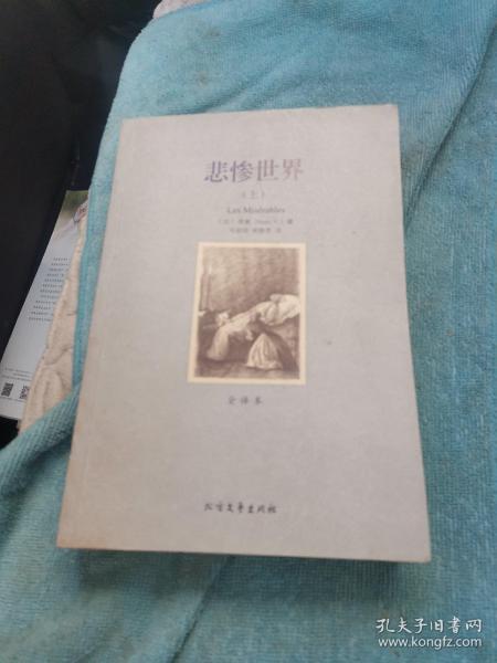 世界文学名著:悲惨世界(全译本)(套装共2册)