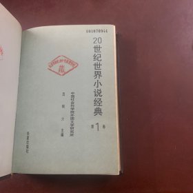 20世纪世界小说经典    第1卷