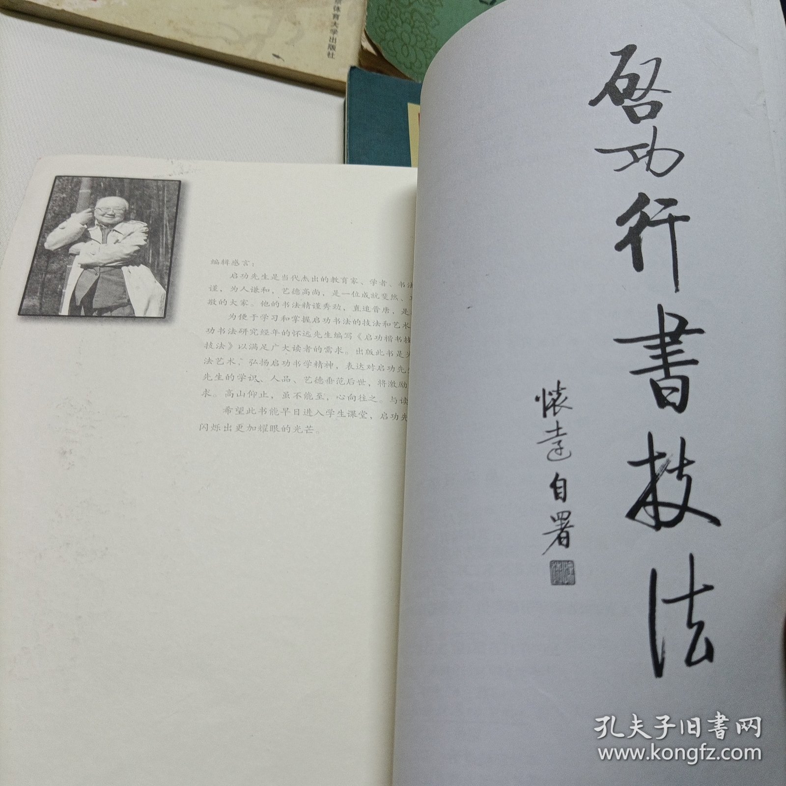 启功行书技法、标准草书、行草章法、田英章毛笔楷书2500字、徐寒书法作品选、董其昌行书习字帖