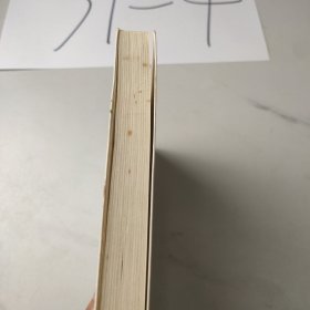 此生未完成：一个母亲、妻子、女儿的生命日记