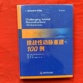 挑战性动脉重建100例  国际血管外科译著